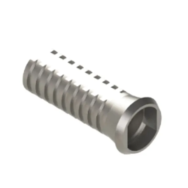BL Multi-unit Lock Temporary Abutment NP&RP